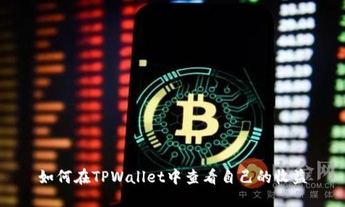 如何在TPWallet中查看自己的收益