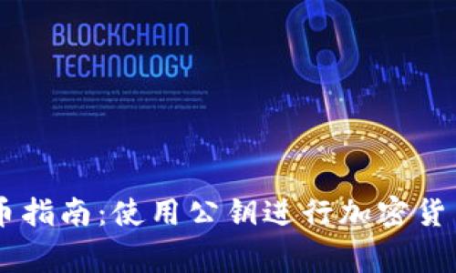 ### TPWallet公钥转币指南：使用公钥进行加密货币转账的步骤与注意事项