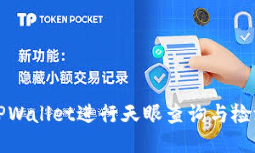 如何使用TPWallet进行天眼查询与检测报告获取