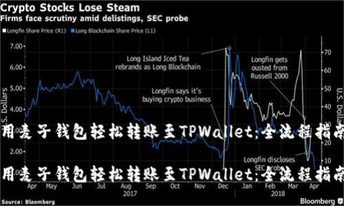 用麦子钱包轻松转账至TPWallet：全流程指南

用麦子钱包轻松转账至TPWallet：全流程指南