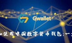 如何下载和使用中国数字货币钱包：一步一步指