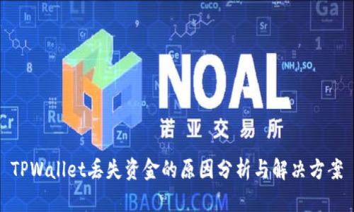 TPWallet丢失资金的原因分析与解决方案