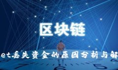 TPWallet丢失资金的原因分析与解决方案