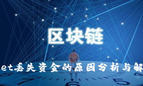 TPWallet丢失资金的原因分析与解决方案