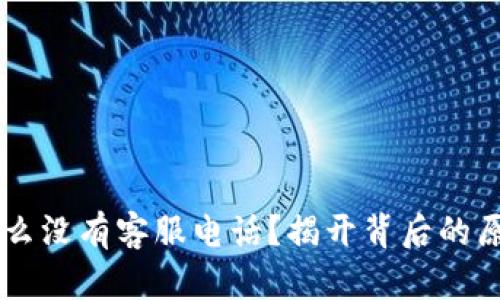 TPWallet为什么没有客服电话？揭开背后的原因与解决方法