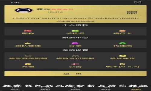 数字钱包的风险分析与防范措施