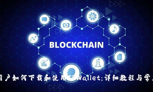 苹果手机用户如何下载和使用TPWallet：详细教程与常见问题解答