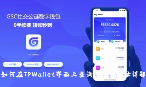 如何在TPWallet界面上查询区块链地址详解