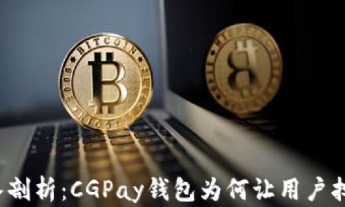 
深入剖析：CGPay钱包为何让用户担忧？