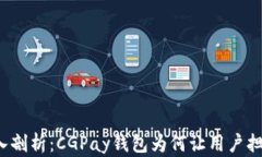 深入剖析：CGPay钱包为何让用户担忧？
