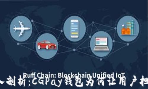 
深入剖析：CGPay钱包为何让用户担忧？