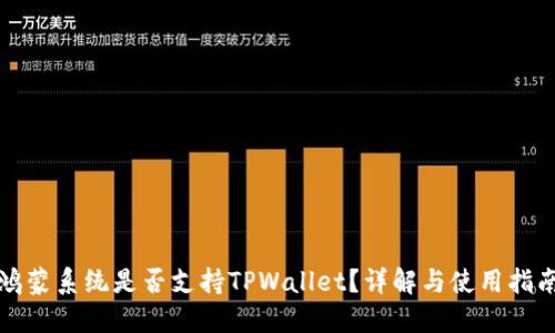 鸿蒙系统是否支持TPWallet？详解与使用指南