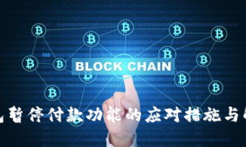 数字钱包暂停付款功能的应对措施与解决方案