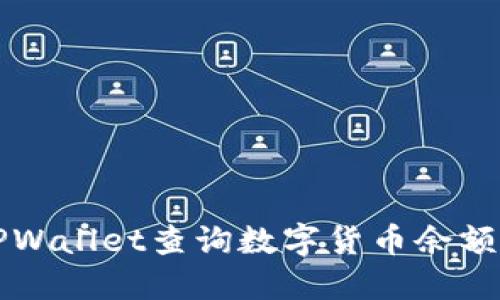 如何使用TPWallet查询数字货币余额和交易记录