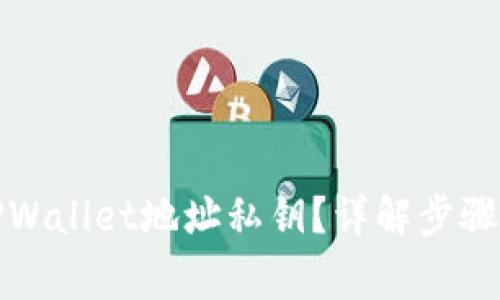 如何查看TPWallet地址私钥？详解步骤和注意事项