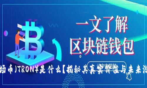 波场币（TRON）是什么？揭秘其真实价值与未来潜力