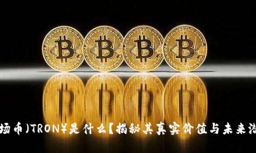 波场币（TRON）是什么？揭秘其真实价值与未来潜力