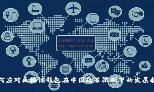 如何应对区块链钱包在中国政策限制下的发展挑战