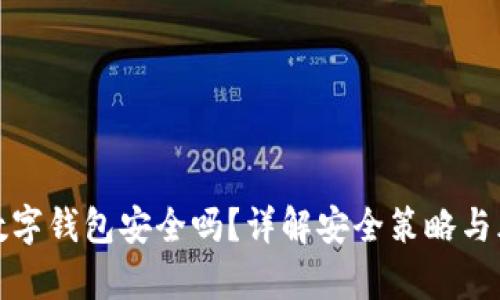 泰达币数字钱包安全吗？详解安全策略与风险管理