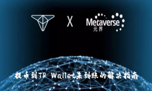 提币到TP Wallet未到账的解决指南