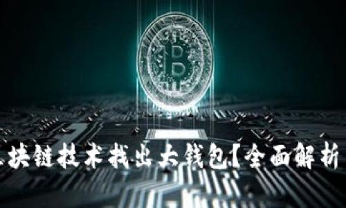 如何通过区块链技术找出大钱包？全面解析与实用技巧