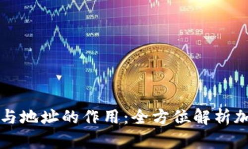 虚拟币钱包与地址的作用：全方位解析加密货币世界