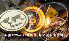 如果TPWallet跑路了，用户该如何应对？