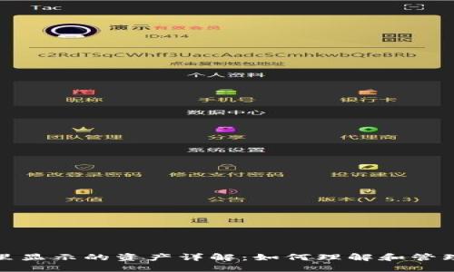 数字货币钱包里显示的资产详解：如何理解和管理你的虚拟资产