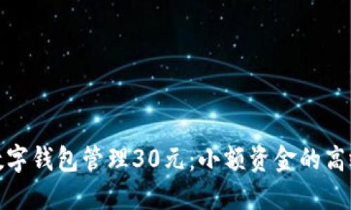 如何利用数字钱包管理30元：小额资金的高效利用策略