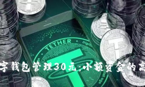 如何利用数字钱包管理30元：小额资金的高效利用策略