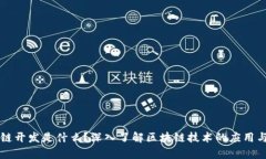 区块链开发是什么？深入了解区块链技术的应用