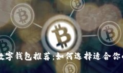 TPWallet可替代的数字钱包推荐：如何选择适合你的