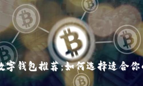 TPWallet可替代的数字钱包推荐：如何选择适合你的数字资产管理工具