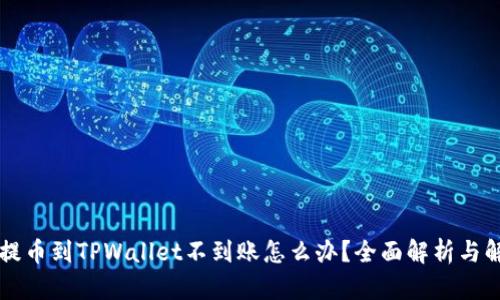 交易所提币到TPWallet不到账怎么办？全面解析与解决方案