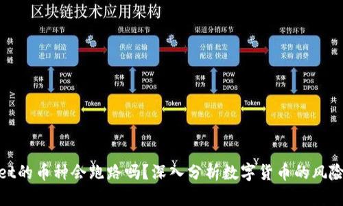 tpwallet的币种会跑路吗？深入分析数字货币的风险与保障