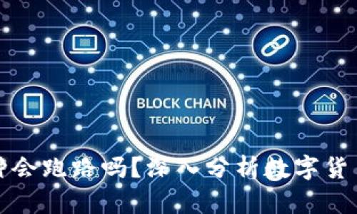 tpwallet的币种会跑路吗？深入分析数字货币的风险与保障
