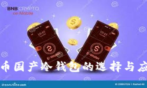 数字货币国产冷钱包的选择与应用指南