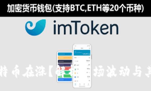 :
为什么只有比特币在涨？解析市场波动与其他币种的表现