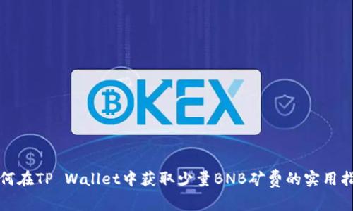 如何在TP Wallet中获取少量BNB矿费的实用指南