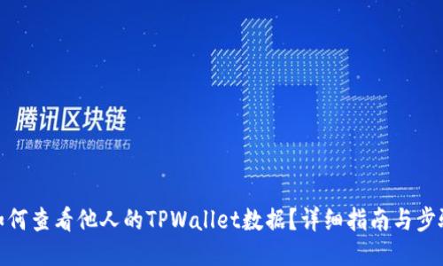 如何查看他人的TPWallet数据？详细指南与步骤