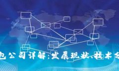 中国区块链钱包公司详解：发展现状、技术分析