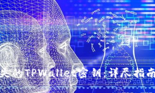 如何找回丢失的TPWallet密钥：详尽指南与解决方案