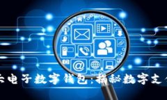 全球最大电子数字钱包：揭秘数字支付的未来