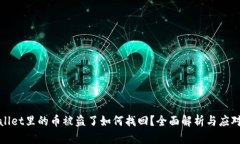 TPWallet里的币被盗了如何找回？全面解析与应对策