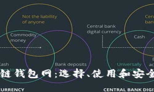 区块链钱包网：选择、使用和安全指南