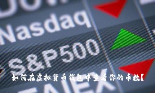 如何在虚拟货币钱包中查看你的币数？