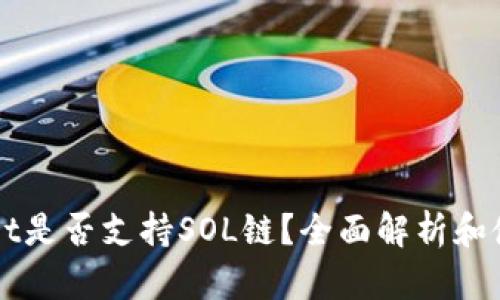 TPWallet是否支持SOL链？全面解析和使用指南