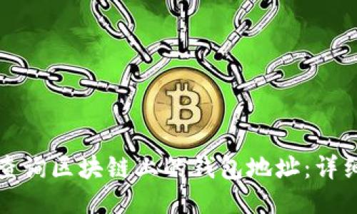 如何查询区块链上的钱包地址：详细指南