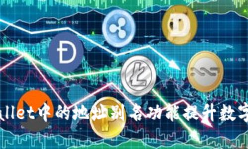 如何使用TPWallet中的地址别名功能提升数字资产管理效率