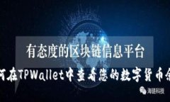如何在TPWallet中查看您的数字货币余额